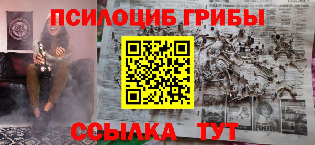 Мценск  Галлюциногенные грибы Cubensis  где продают наркотики  Вход с VPN 